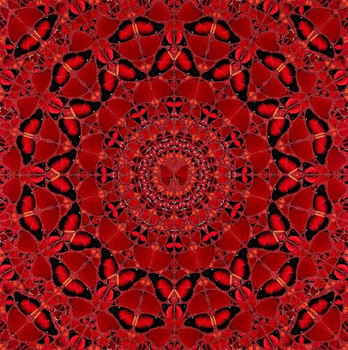 H10-4 Suiko par Damien Hirst, Édition en vente sur Singulart