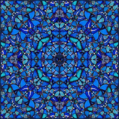 Patience (From Aspects) par Damien Hirst, Édition en vente sur Singulart