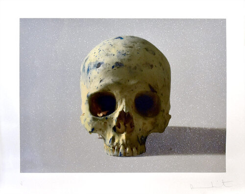 Studio Half Skull, Face On par Damien Hirst, Édition en vente sur Singulart
