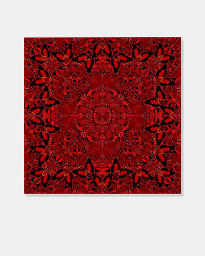 The Empresses - H10-2 Nūr Jahān par Damien Hirst, Édition en vente sur Singulart