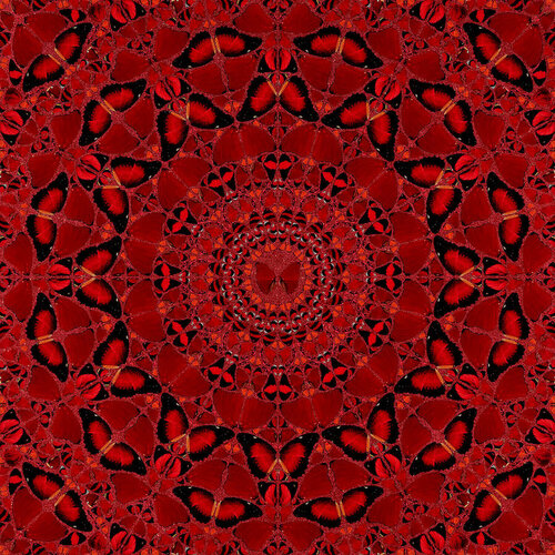 H10-4 Suiko par Damien Hirst, Édition en vente sur Singulart