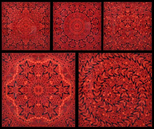 Damien Hirst THE EMPRESSES Suite of 5 Prints par Damien Hirst, Édition en vente sur Singulart