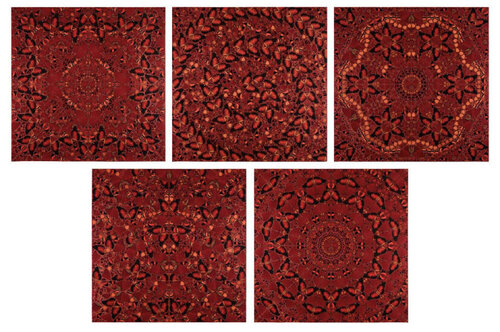 The Empresses Set of Five par Damien Hirst, Édition en vente sur Singulart