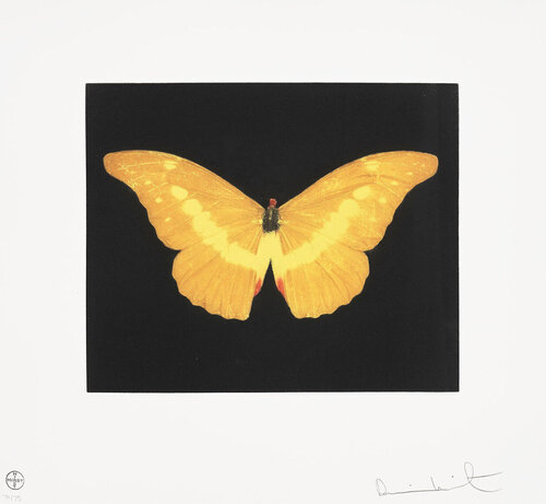 Damien Hirst To Lure Butterfly van Damien Hirst, Afdruk te koop op Singulart