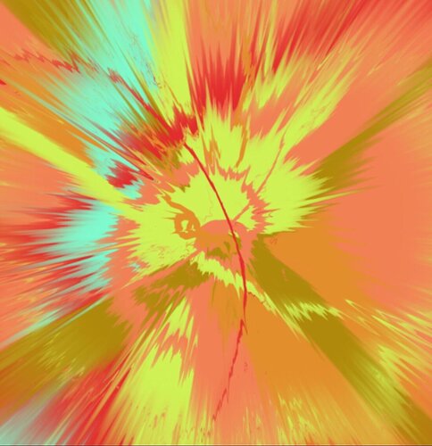Beautiful, Absolutely Unceremonious, Rather Unfading, Quick And Natural Comet Painting par Damien Hirst, Peinture en vente sur Singulart