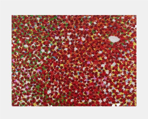 H4-7 Ryoanji par Damien Hirst, Édition en vente sur Singulart