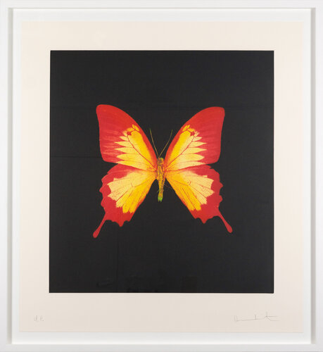 The Souls on Jacob’s Ladder Take Their Flight par Damien Hirst, Édition en vente sur Singulart