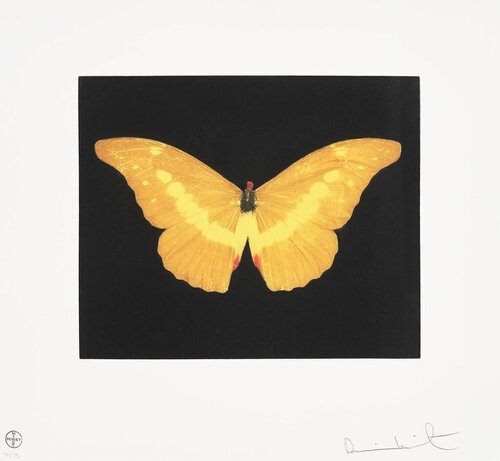 To Lure Butterfly par Damien Hirst, Édition en vente sur Singulart