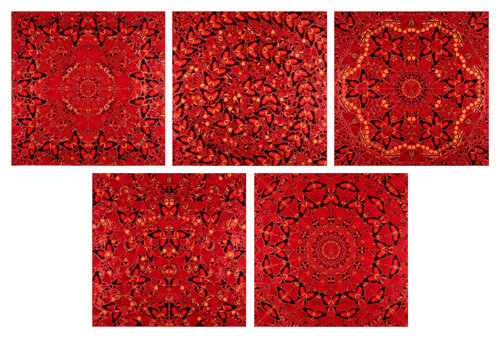 The Empresses (Complete Set of Five) par Damien Hirst, Édition en vente sur Singulart