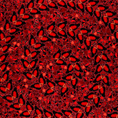 Taytu Betul, H10-5 par Damien Hirst, Édition en vente sur Singulart