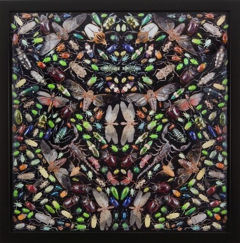 Inferno by Damien Hirst, Print for Sale on Singulart
