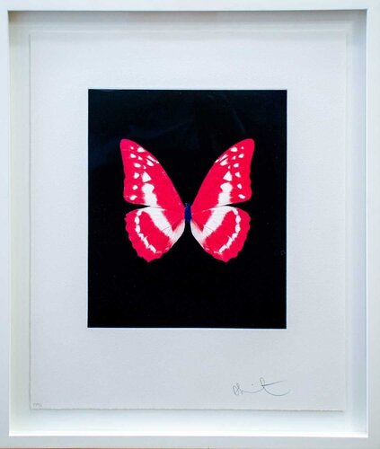 Eternal Rest by Damien Hirst, Print for Sale on Singulart