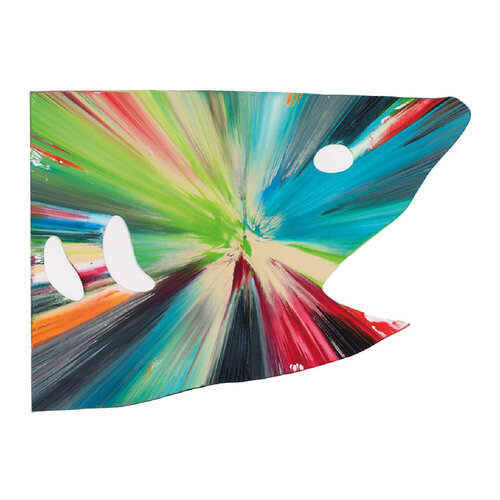 Shark Spin Painting di Damien Hirst, Pittura in vendita su Singulart