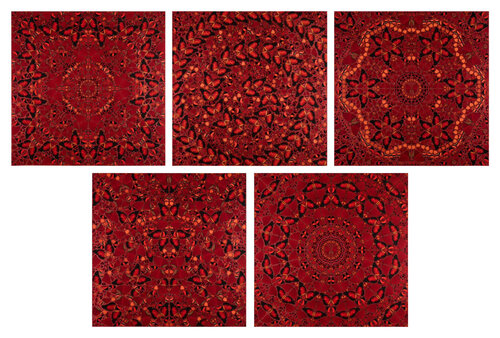 The Empressess - full set of 5 par Damien Hirst, Édition en vente sur Singulart
