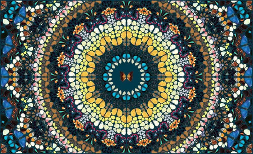 H18-3 Psychedelic (The Kaleidoscopes) par Damien Hirst, Édition en vente sur Singulart