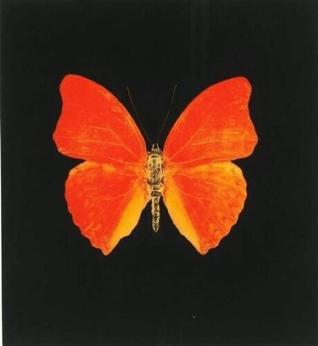 Memento 3 de Damien Hirst, Impresión a la venta en Singulart