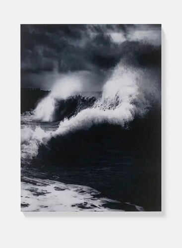 Damien Hirst Faneel H13-11 from Where The Land Meets The Sea par Damien Hirst, Édition en vente sur Singulart