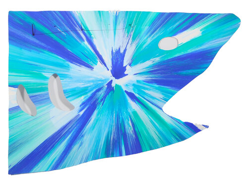 Shark Spin Painting by Damien Hirst, 絵画 for Sale on Singulart