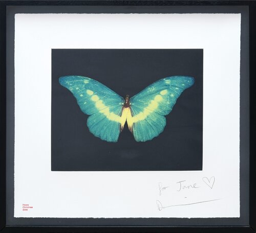 To Believe - Butterfly.  par Damien Hirst, Édition en vente sur Singulart