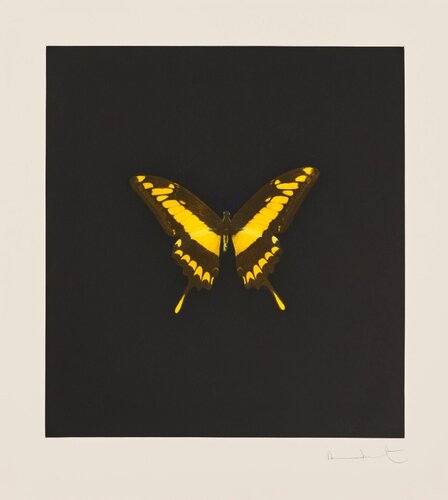 Plate 6, from: The Souls on Jacob's Ladder Take Their Flight​ par Damien Hirst, Édition en vente sur Singulart