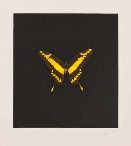 The Souls on Jacob’s Ladder Take Their Flight​ par Damien Hirst, Édition en vente sur Singulart