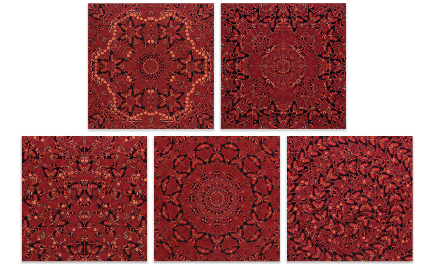 The Empresses (complete set of 5 works) Damien Hirst Druck zu verkaufen