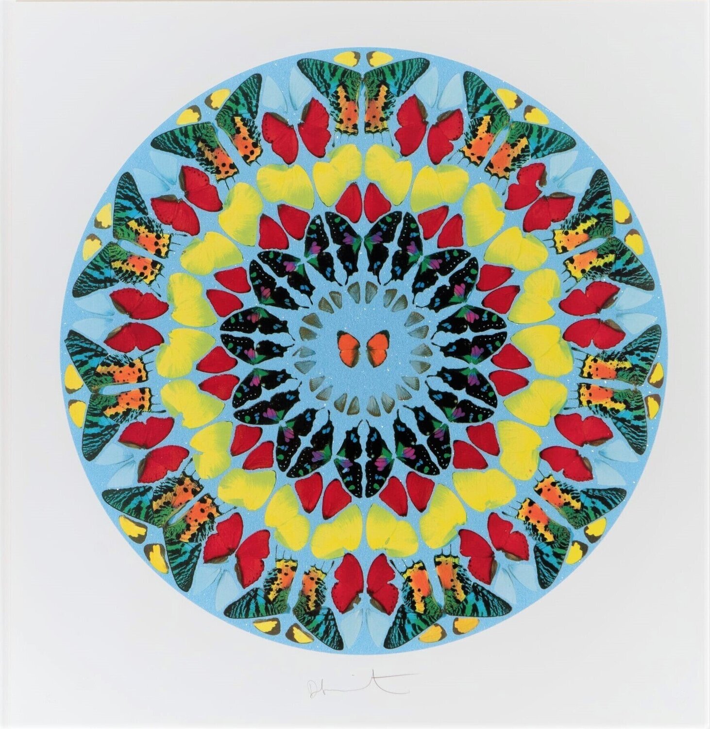 Dixit Insipiens (Artist Proof) Damien Hirst Druck zu verkaufen