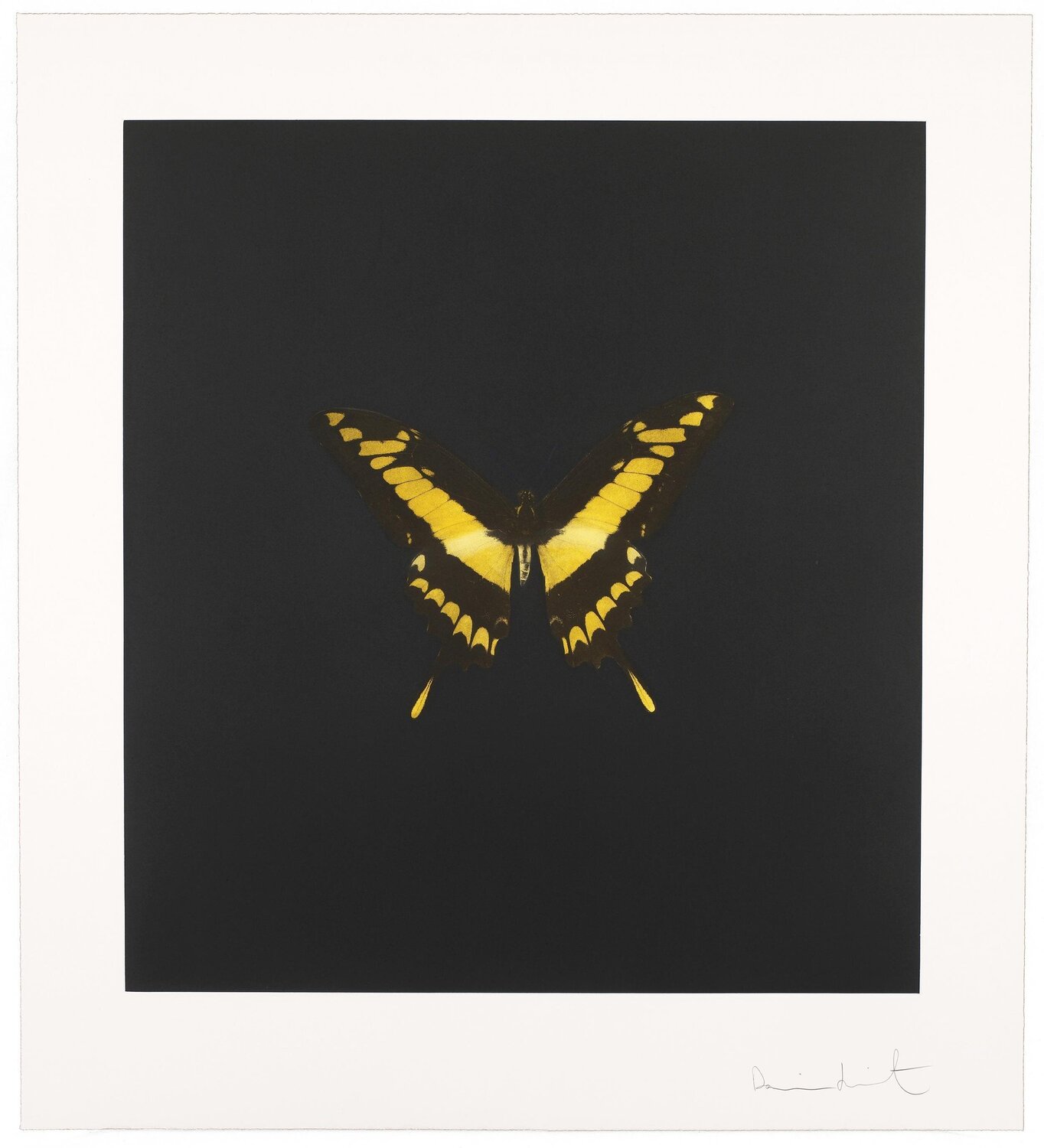 The Souls on Jacob's Ladder Take Their Flight Damien Hirst Druck zu verkaufen