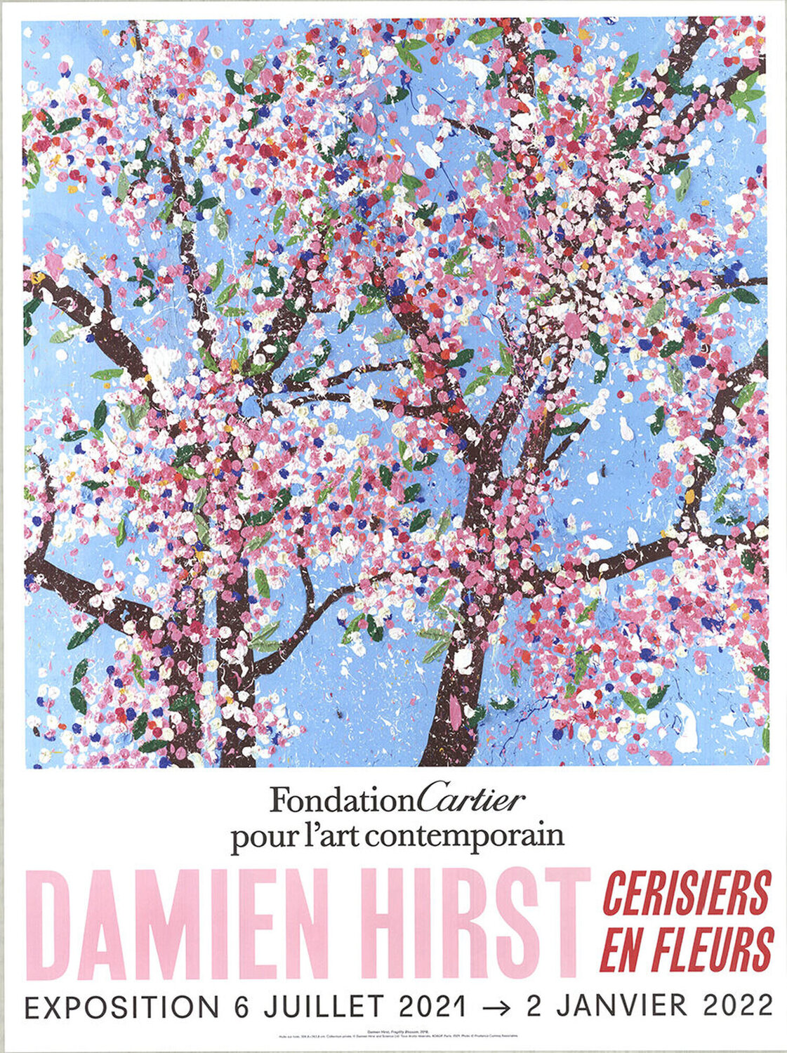 Fragility Blossom Damien Hirst Afdruk te koop