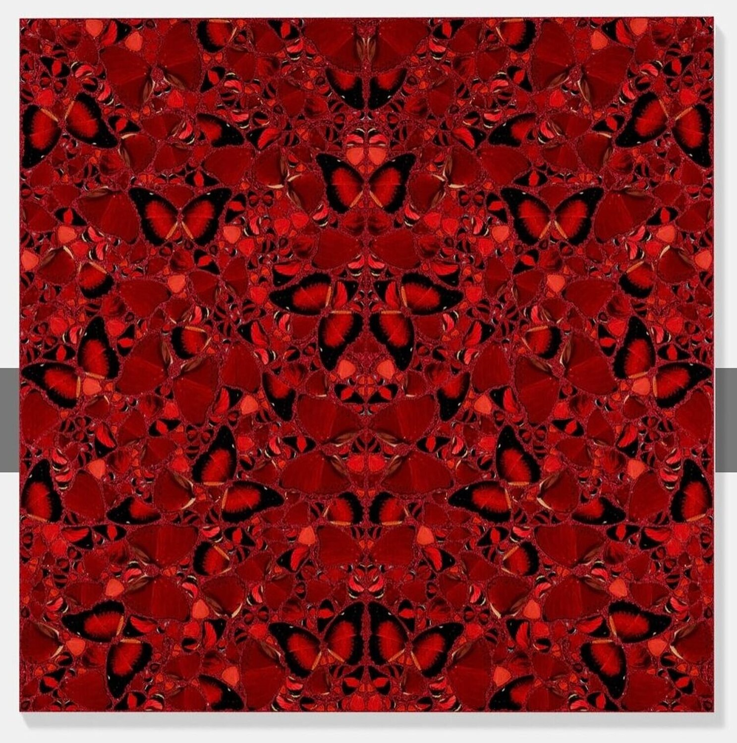 Theodora Damien Hirst Print for sale