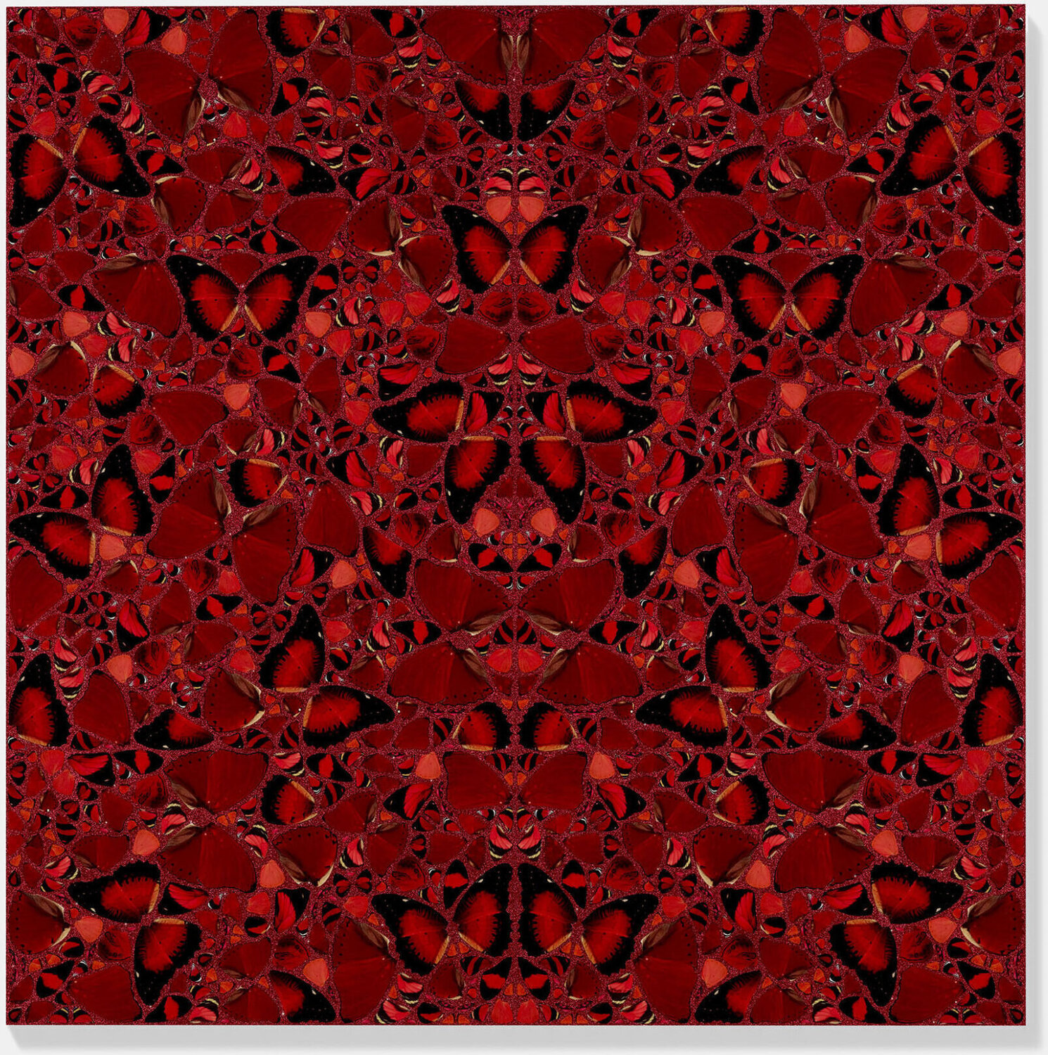 H10-3 Theodora Damien Hirst Afdruk te koop