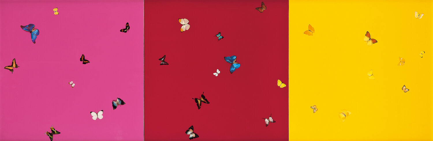 Happy, happy, harvest Damien Hirst Dipinto originale in vendita