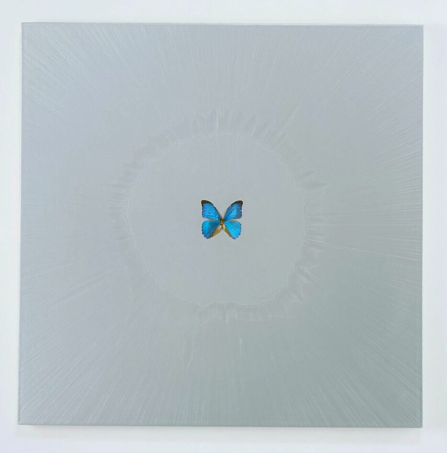 Chaos Damien Hirst Pintura original en venta
