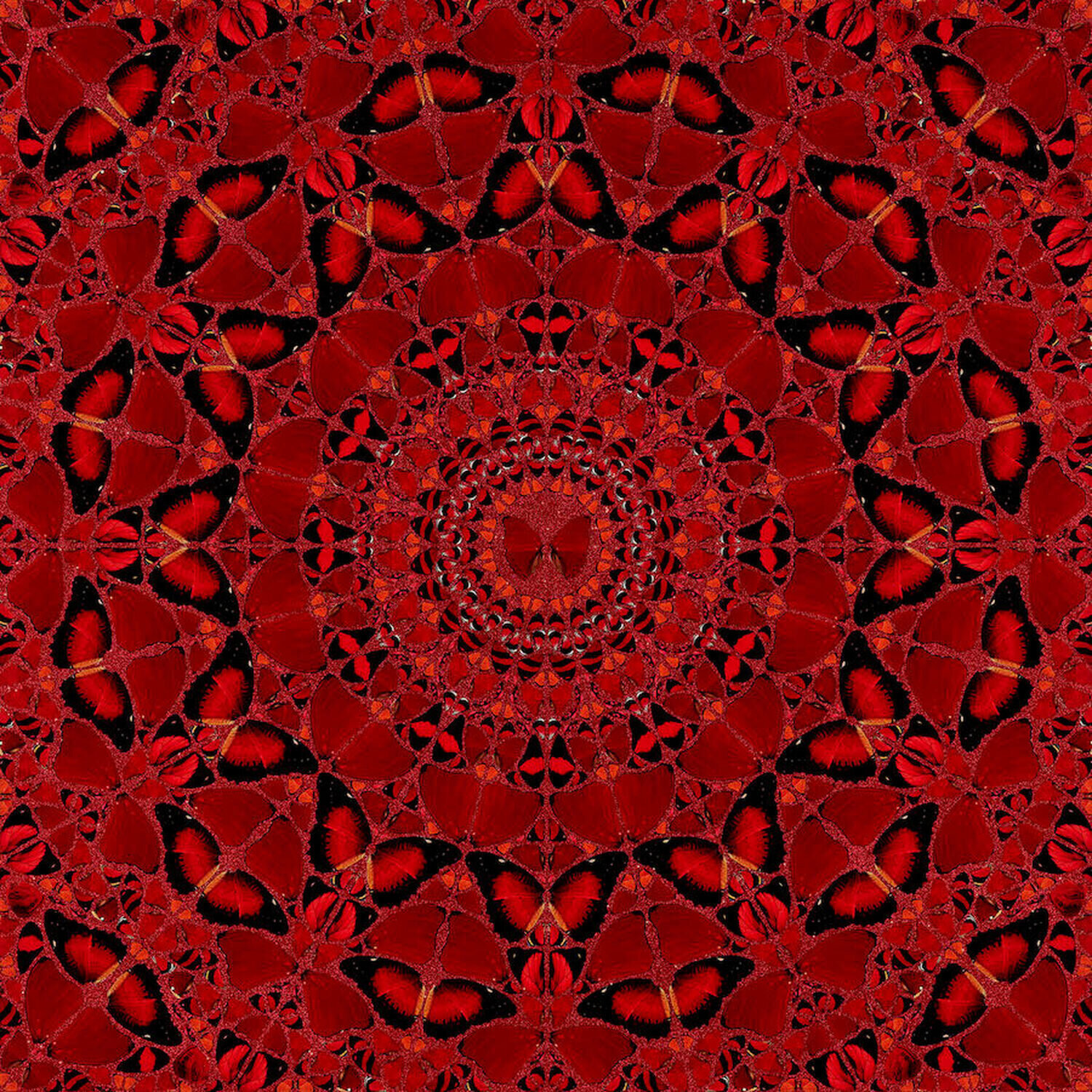 H10-4 Suiko Damien Hirst Print for sale