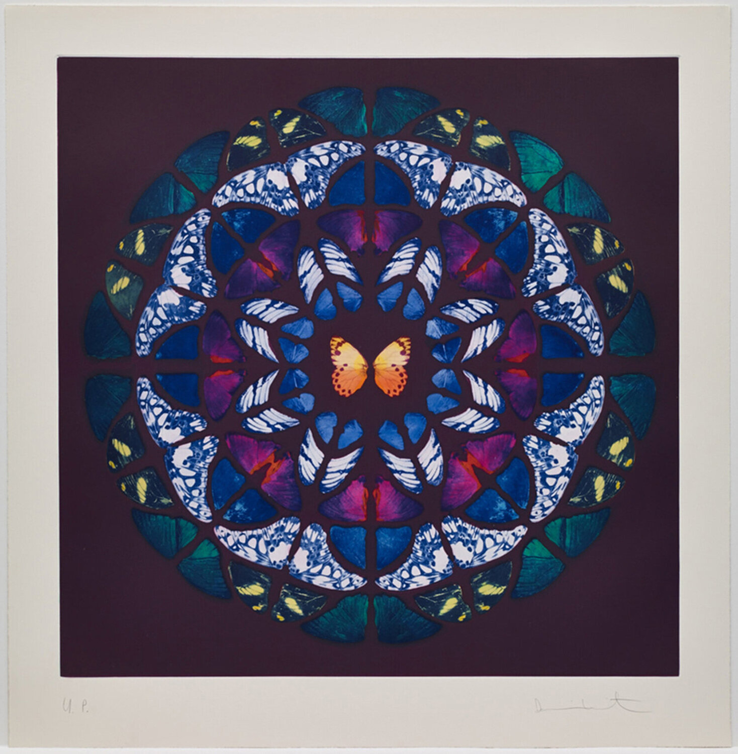 Sanctum Damien Hirst Print for sale