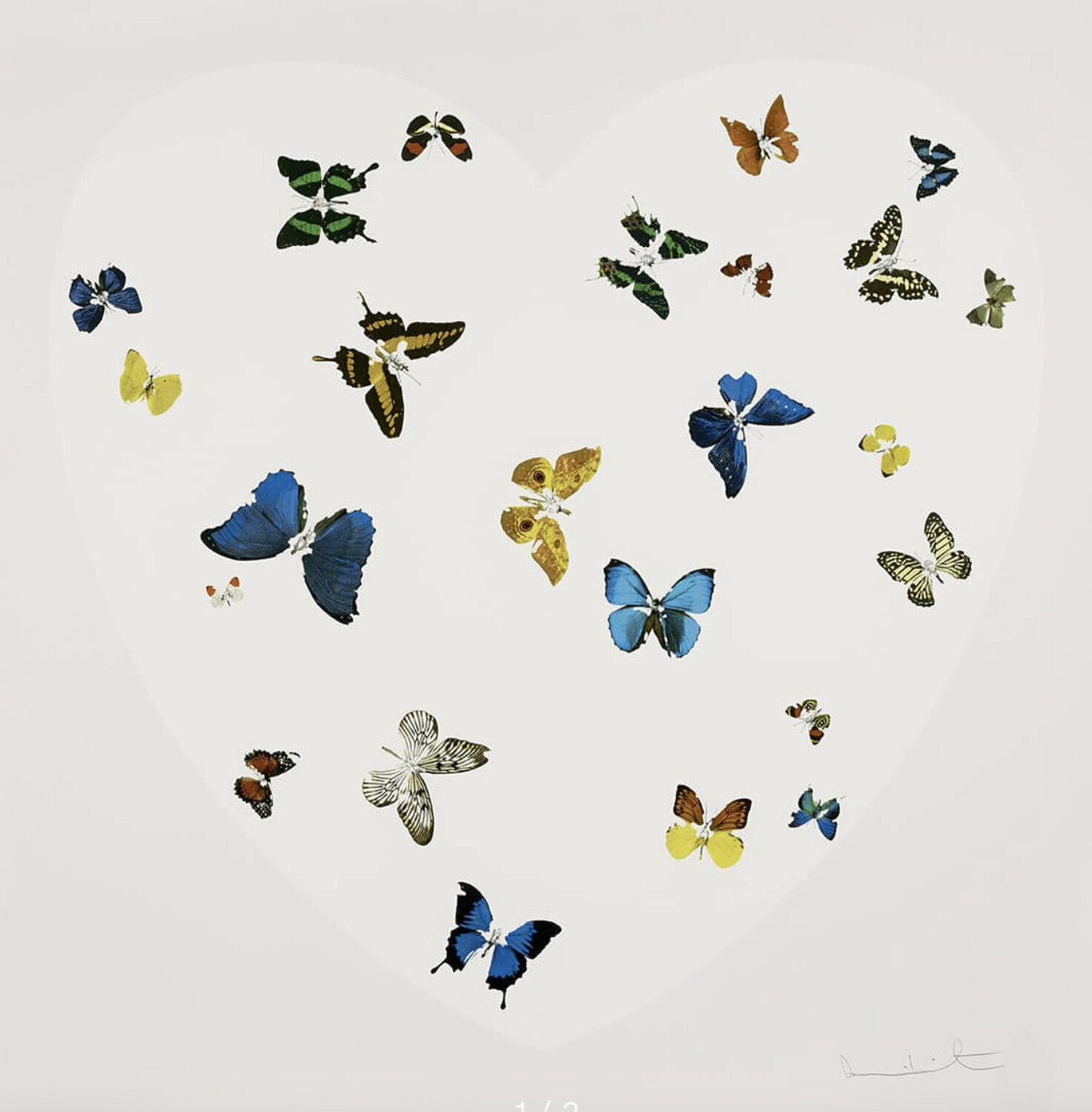 Love Is All You Need Damien Hirst Stampa in vendita