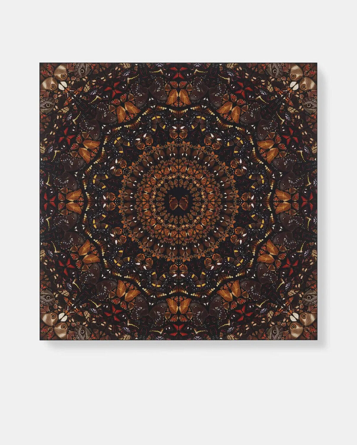 H6-6 Earth (The Elements) Damien Hirst Édition à vendre