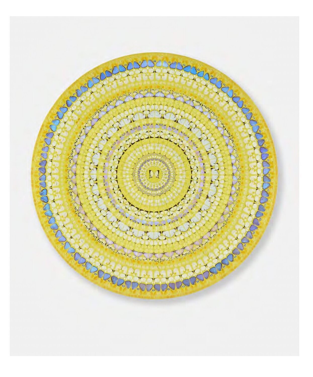 Proelium Damien Hirst Autres supports à vendre