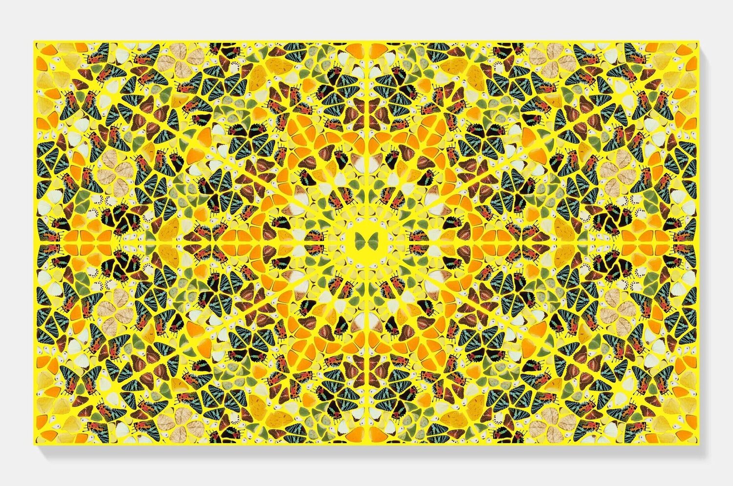 H18-4 Splendour  Damien Hirst Stampa in vendita