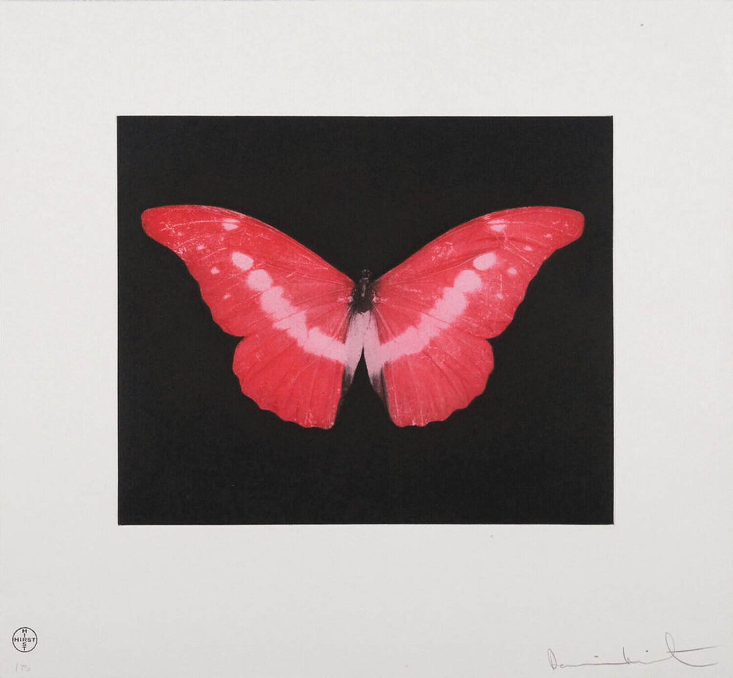 Damien Hirst To Lose Damien Hirst Druck zu verkaufen