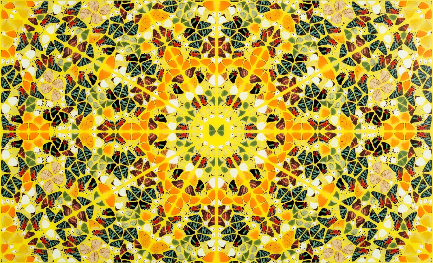 H18-4 Splendour from the Kaleidoscopes Damien Hirst Druck zu verkaufen