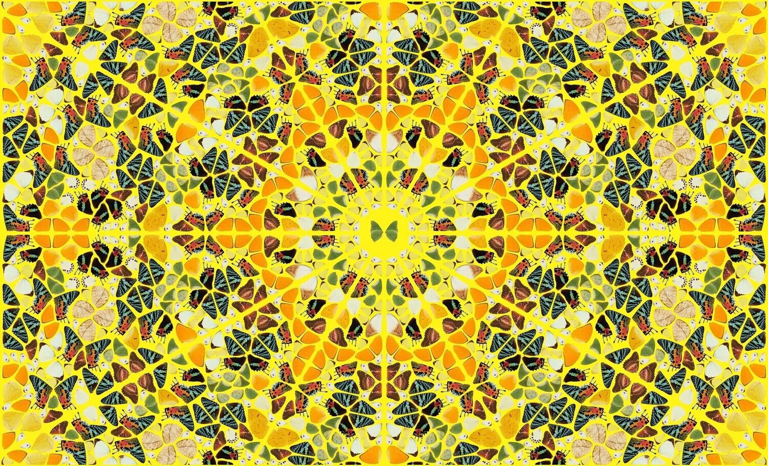 Splendour Damien Hirst Druck zu verkaufen