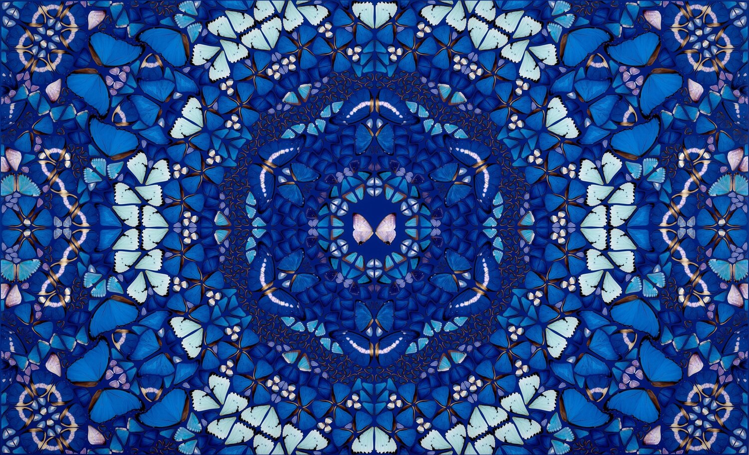 H18-2 Chameleon from the Kaleidoscopes Damien Hirst Druck zu verkaufen