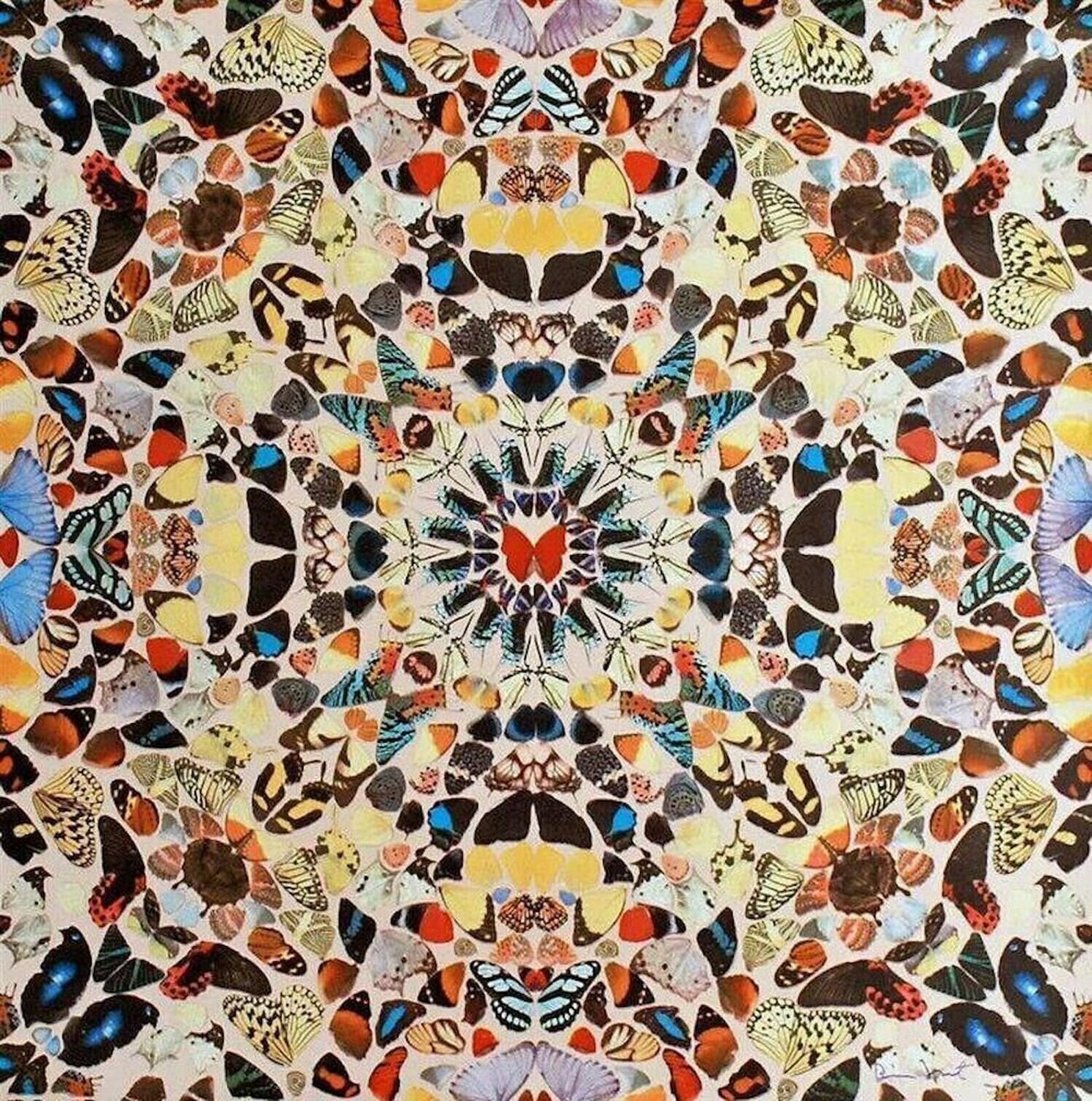 In A Gadda Da Vida Damien Hirst Druck zu verkaufen