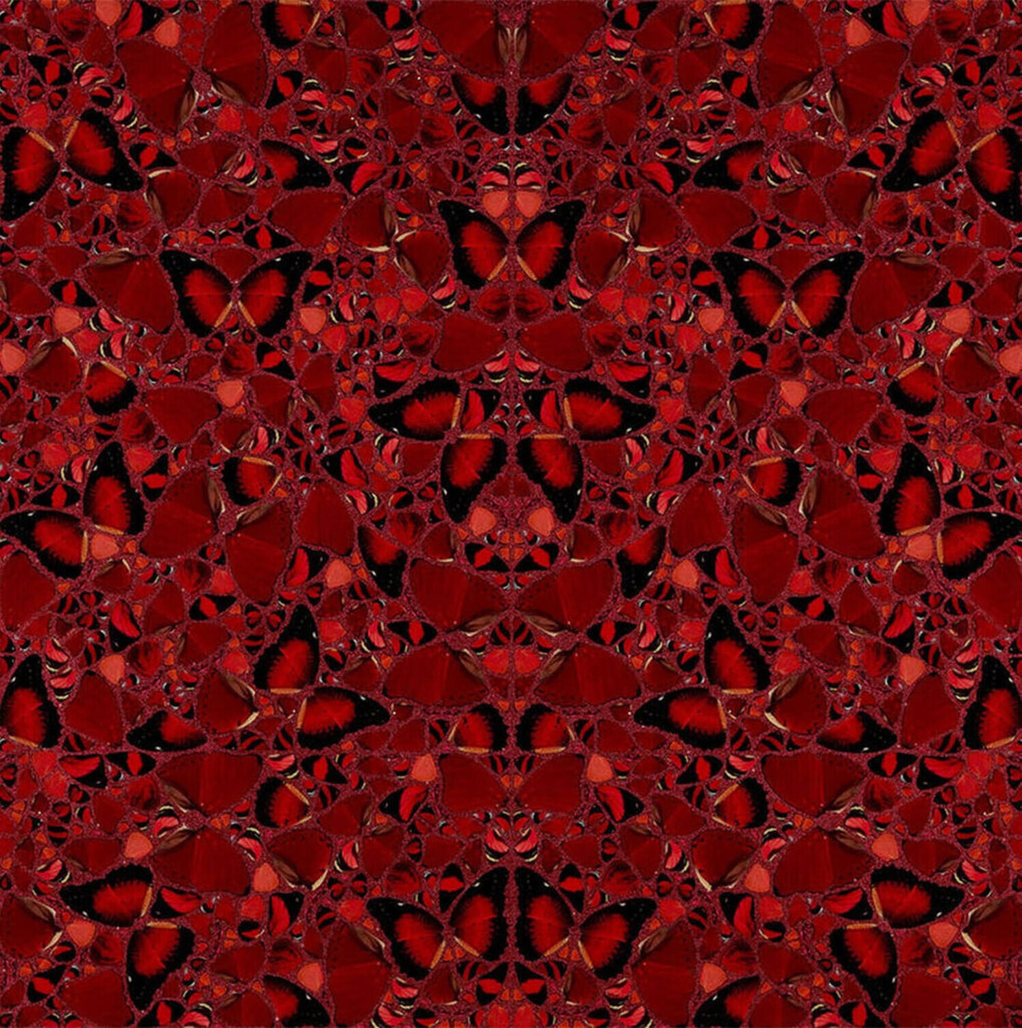 The Empresses H10-3 Theodora Damien Hirst Druck zu verkaufen