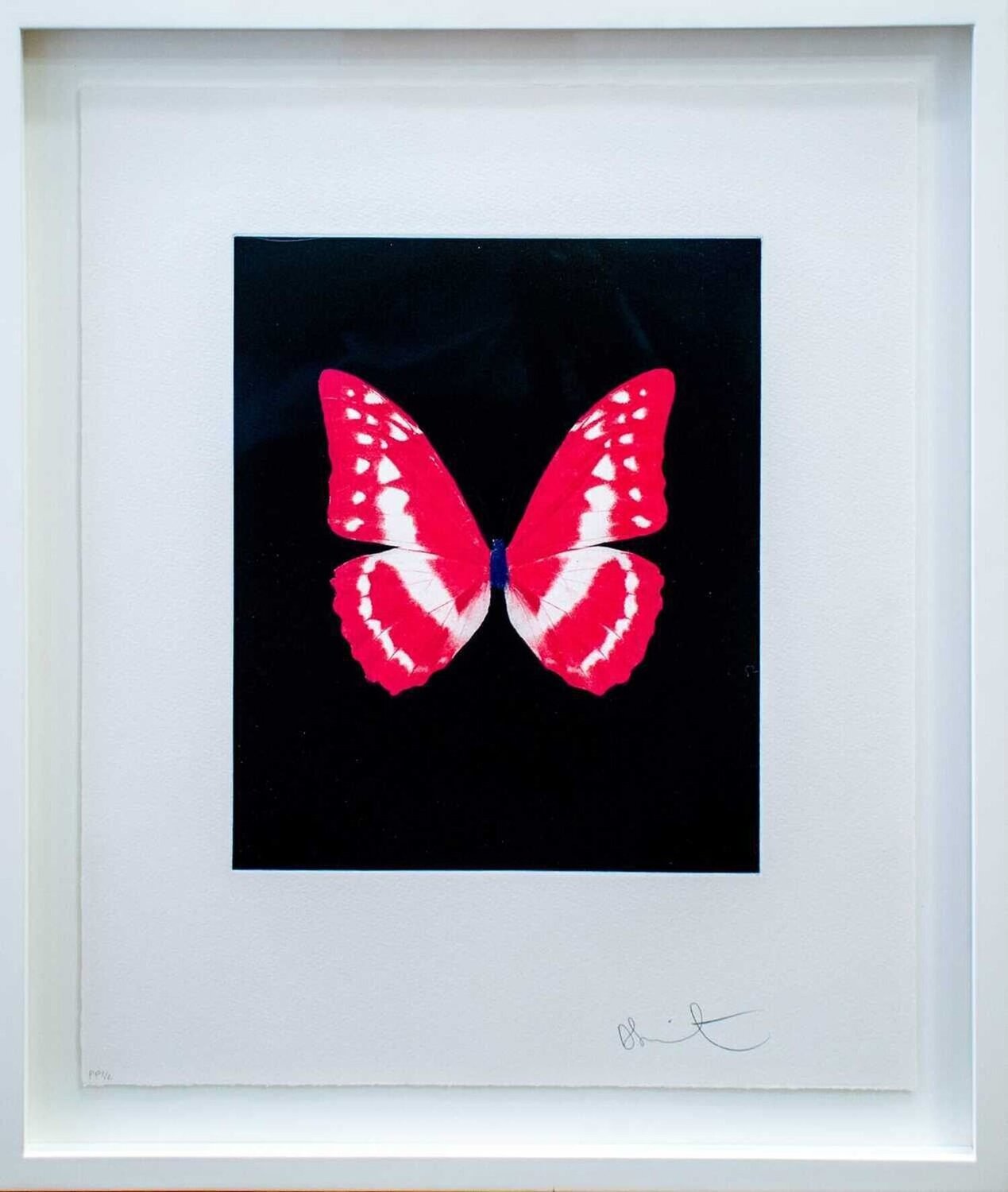 Eternal Rest Damien Hirst Édition à vendre