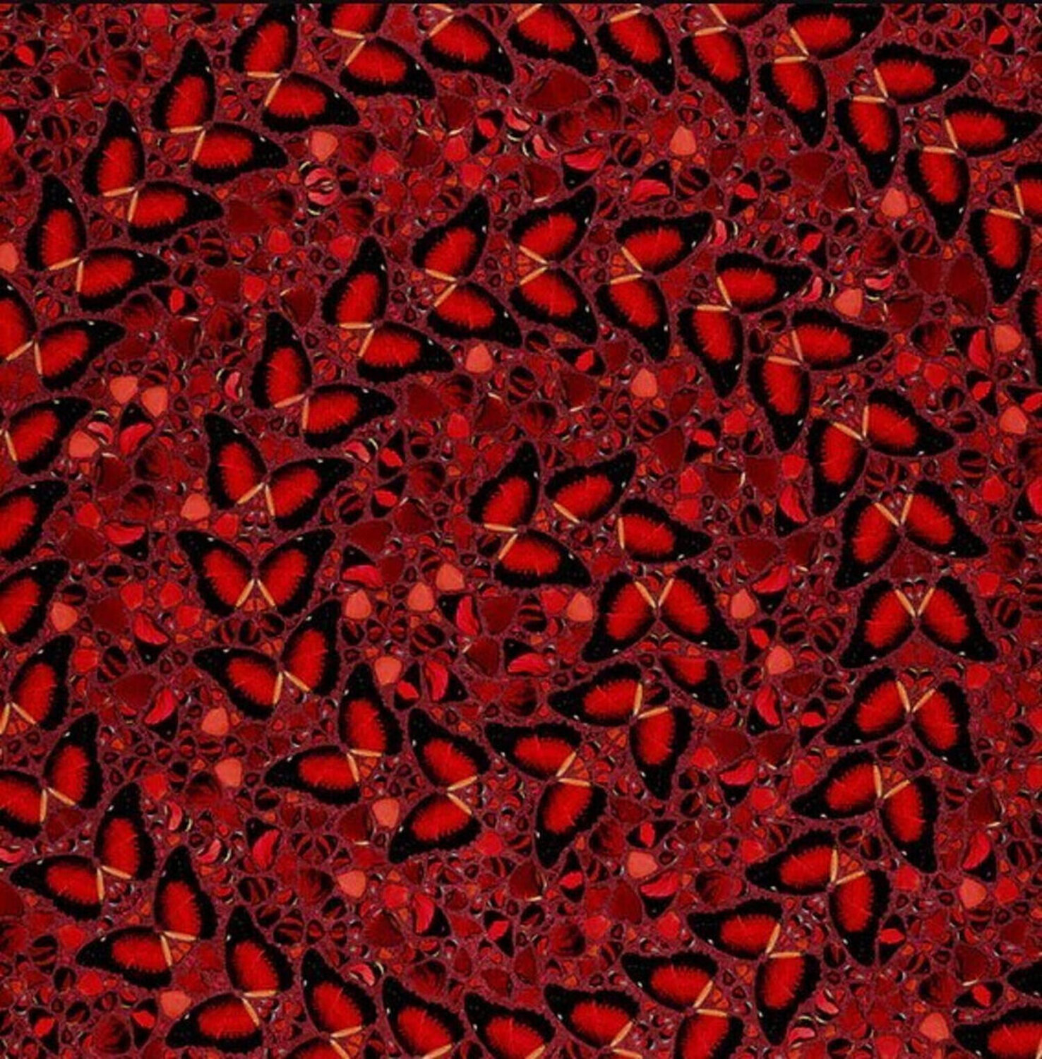 The Empresses H10-5 Taytu Betul Damien Hirst Druck zu verkaufen