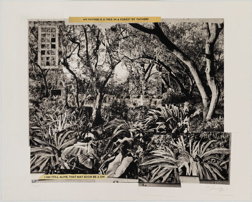 My Father is a Tree in a Forest of Fathers van William Kentridge, Afdruk te koop op Singulart