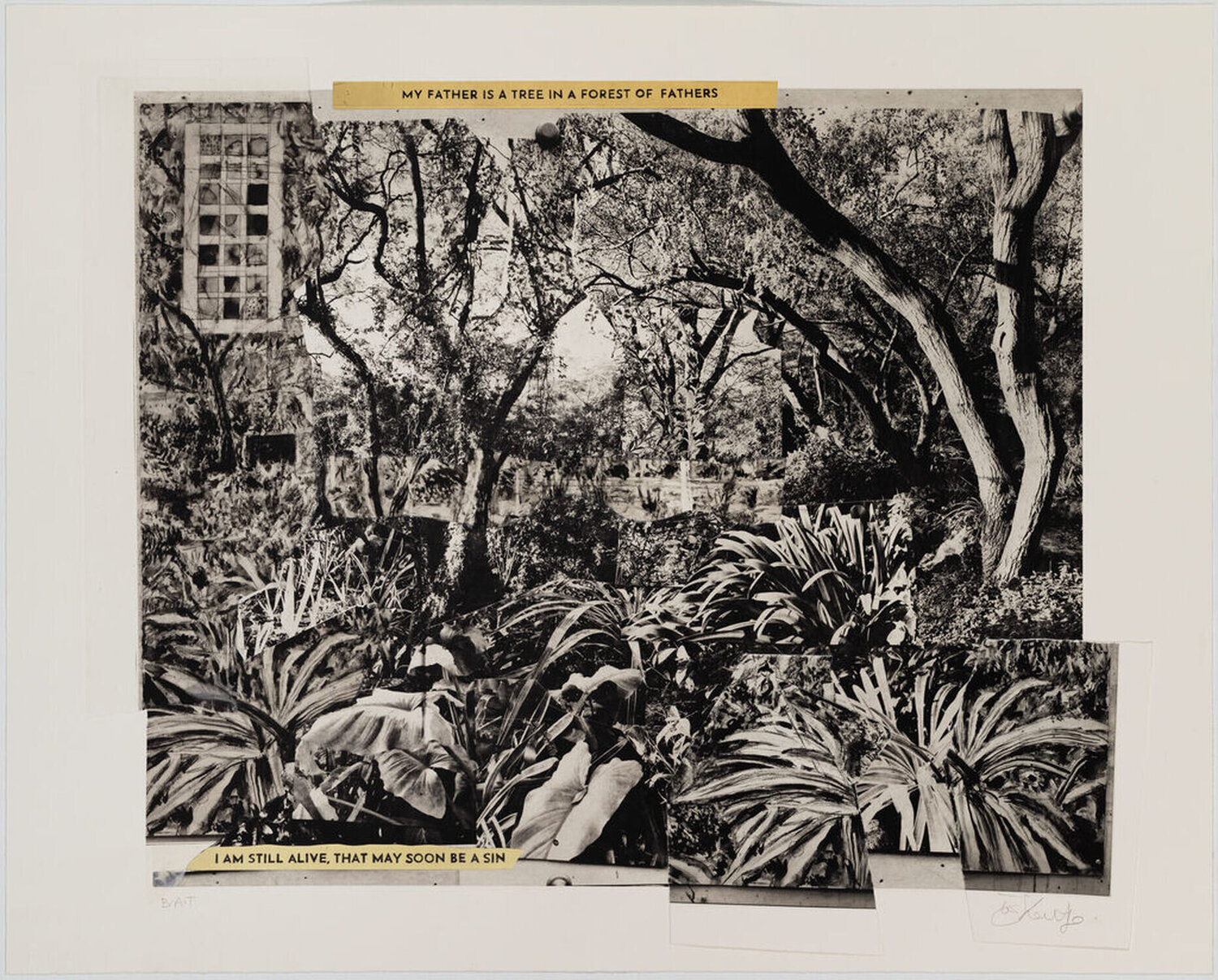 My Father is a Tree in a Forest of Fathers William Kentridge Druck zu verkaufen