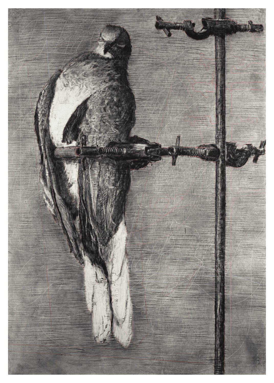 Bird Catcher William Kentridge